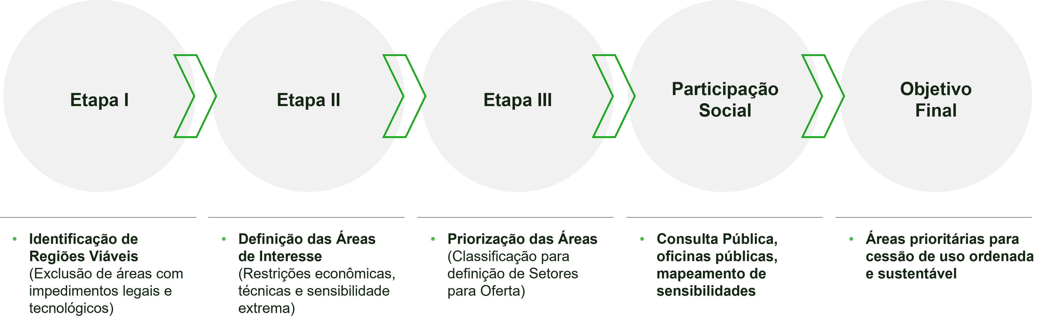 informe tiago.png